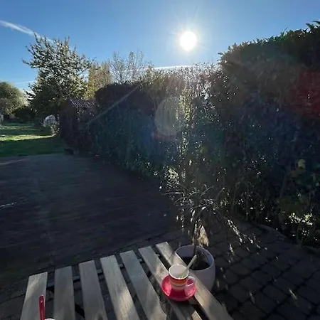 Grande Maison Et Jardin Metropole Seclin