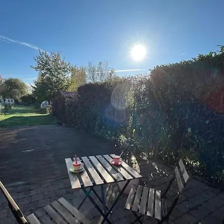 Grande Maison Et Jardin Metropole * Seclin