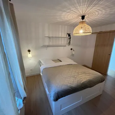 Grande Maison Et Jardin Metropole *