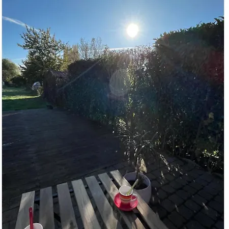 Grande Maison Et Jardin Metropole