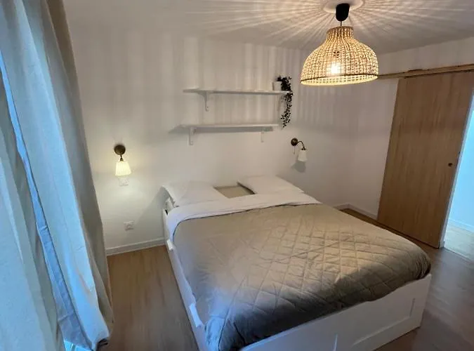 Grande Maison Et Jardin Metropole *